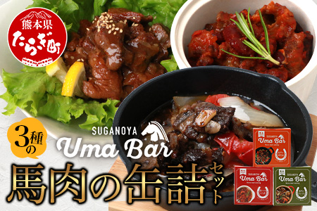 【UmaBar】 馬肉 缶詰 3種 9個セット アヒージョ トマト煮 焼肉風 アウトドア 非常食 簡単 手軽 非常食 熊本県 本場 世界的衛生基準SQF認証取得 031-0501