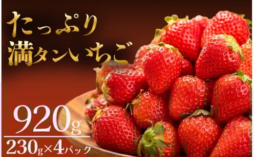 【先行予約＿2026年出荷分】たっぷり 満タンいちご4パック 恋みのり、かおり野　から厳選　【 苺 いちご イチゴ かおり野 恋みのり 産地直送 旬 果物 フルーツ くだもの 静岡県 伊豆 南伊豆町 期間限定 】　<AA-9>