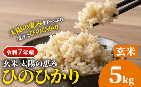 【令和7年産】岡山県産 ひのひかり 5kg 太陽の恵み 玄米 奥山営農《10月下旬頃出荷》岡山県 笠岡市 送料無料 米 お米 こめ