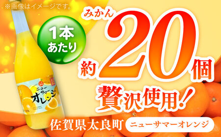そのまんまニューサマーオレンジジュース 720ml×2本 / 佐賀県 / 山本農園 [41ATBT020]
