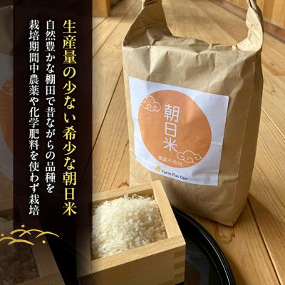ふるさと納税 赤磐市 先行受付 農薬不使用 無洗米 ホタル舞う里山の棚田米 精米4kg令和8年産[NO5765-1510] |  | 01