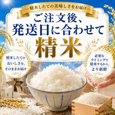 ふるさと納税 大町町 令和7年産『さがびより』白米3kg!16年連続特A評価!五つ星お米マイスター厳選!(大町町) |  | 01