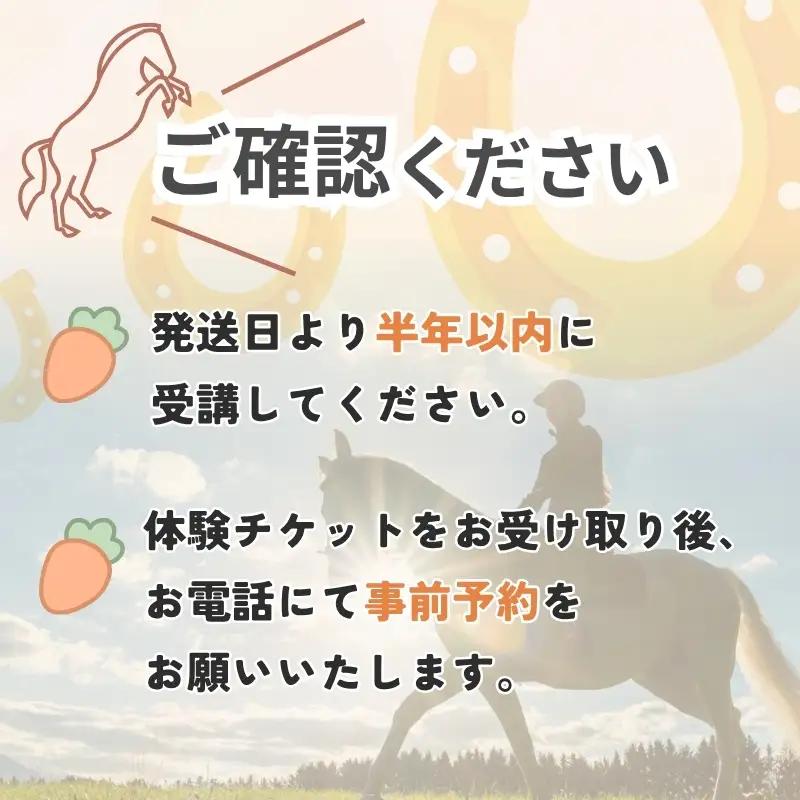 乗馬 体験乗馬3日間3回コース(ドリンク付) 乗馬 【cran0002】