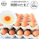 【ふるさと納税】金賞受賞 明野 たまご 50個 山梨県 北杜市産 卵 送料無料