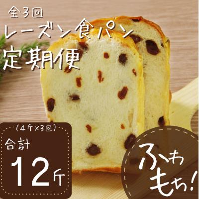 ふるさと納税 室戸市 【3回定期便】レーズン食パン4斤×3回