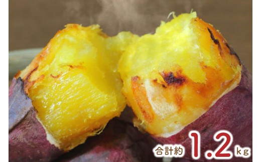 ★少し大きめサイズ★熟成紅はるか約1kg+おまかせ品種さつまいも約200g  合計約1.2kg｜さつまいも サツマイモ さつま芋 焼き芋 やきいも 冷凍 冷凍焼き芋 紅はるか 茨城県 行方市(EY-3)