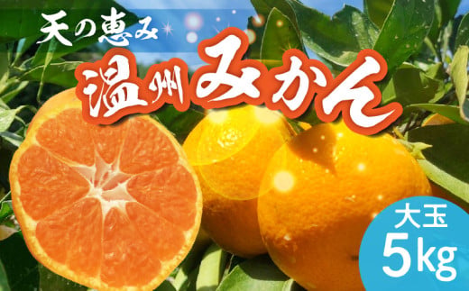 H6004n_【2026年先行予約】天の恵み 温州みかん 大玉5kg【ミカン 蜜柑 柑橘 温州みかん 和歌山】