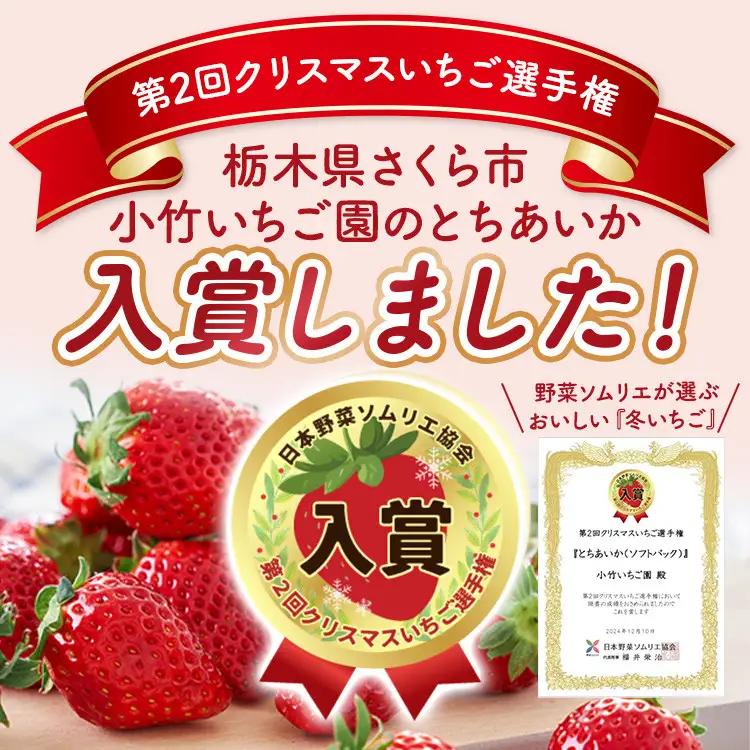 《数量限定》新旧2種食べ比べセット（とちおとめ、とちあいか） 270g×2パック（540g）｜いちご イチゴ 苺 先行予約 栃木県 果物 くだもの フルーツ とちおとめ とちあいか 新鮮 贈答 ギフト