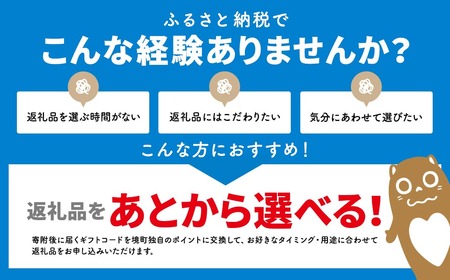 【あとから選べるカタログ】寄附30,000円(9,000円分ポイント)800品以上！あとからセレクト