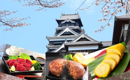 熊本名物セット② 馬刺し(赤身)100g×2 辛子れんこん300g 熊本和牛あか牛ハンバーグ150g×5 セット