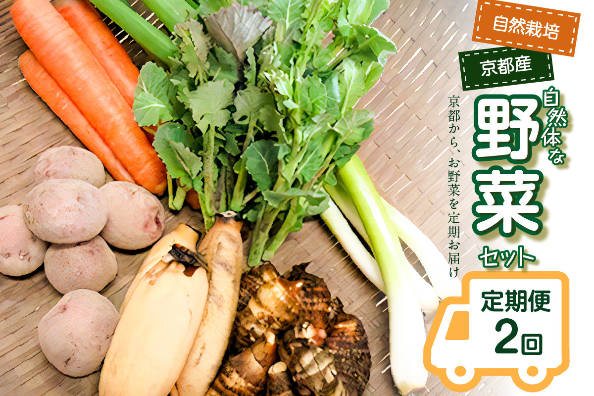 
                  ＜京都産野菜定期便2回＞自然体な野菜セット 旬の野菜 野菜詰合せ 野菜セット 野菜定期便 2回 自然農園 自然栽培 安心 安全 健康 マクロビ ベジタリアン 定期便 京野菜 京都 木津川【086-02-T04】
                