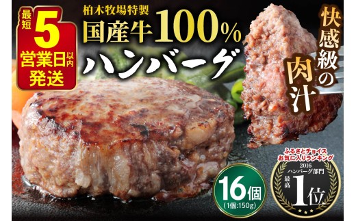 柏木牧場特製 国産牛100%ハンバーグ (150g×16個)｜国産 ハンバーグ 冷凍 グルメ ギフト お惣菜 惣菜 [0759]