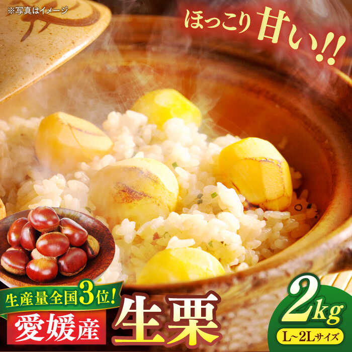 【ふるさと納税】栗【先行予約】【2026年9月上旬より順次発送】生栗 2kg（L〜2Lサイズ） クリ くり 栗ご飯 栗ごはん 炊き込みご飯 スイーツ デザート モンブラン 甘露煮 くだもの 果物 フルーツ おすすめ 人気 お取り寄せ 送料無料 贈答 ギフト 大洲市/沢井青果[AGBN043]