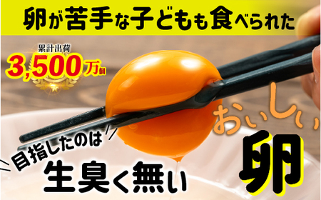 植物性のエサしか食べさせないから違いが出る！卵 6個×5P