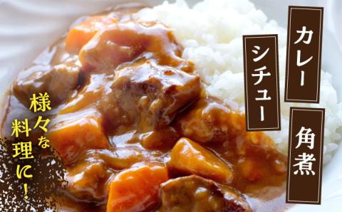 【12回定期便】ジビエ 天然イノシシ肉 角切り肉 600g（カレー・シチュー）【照本食肉加工所】 [OAJ046]