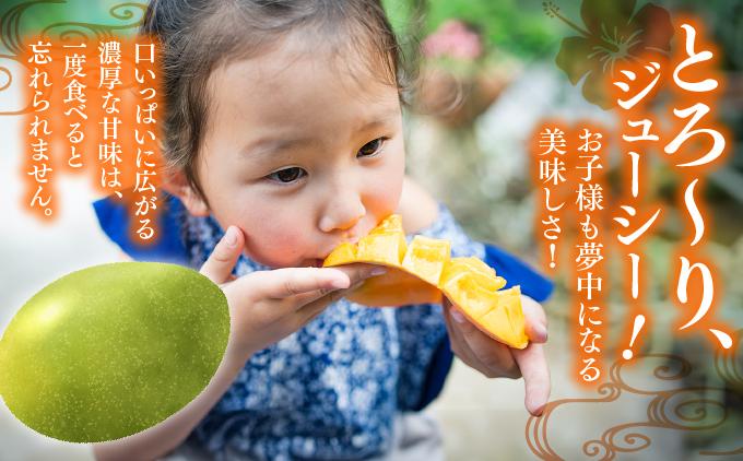 【先行予約】ご家庭用キーツマンゴー　約2kg. 白箱