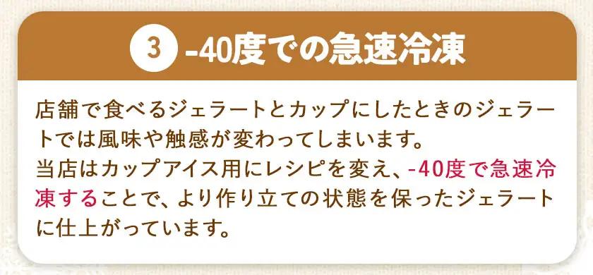 ジェラート 6種 詰め合わせ 計6個 GELATERIA NAKAICHI