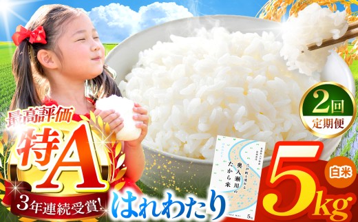 【 2回定期便 】はれわたり 白米5kg | 米 おこめ お米 こめ コメ ごはん ご飯 白飯 ゴハン 白米 精米 特産 ブランド米 ライス 2025年産 令和7年度産 仕送り 国産 産地直送 定期便 定期  青森の旨い米グランプリ もっちり 甘み グランプリ 最優秀賞 獲得 水稲 宝精米所 青森県 六戸町