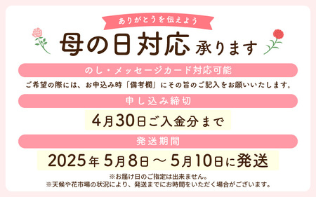 【先行予約】母の日 そのまま飾れる フラワーアレンジメント 生花 感謝を大切な人に！メッセージカード付・越前和紙 小花1輪付 【2024年5月発送予定】 [e51-a006]