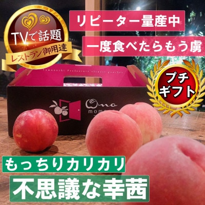 2027年発送先行受付【もっちりカリカリ不思議な幸茜】人気品種指定ギフト5年連続TV出演話題ブランド【配送不可地域：離島・北海道・沖縄県・中国・四国・九州】