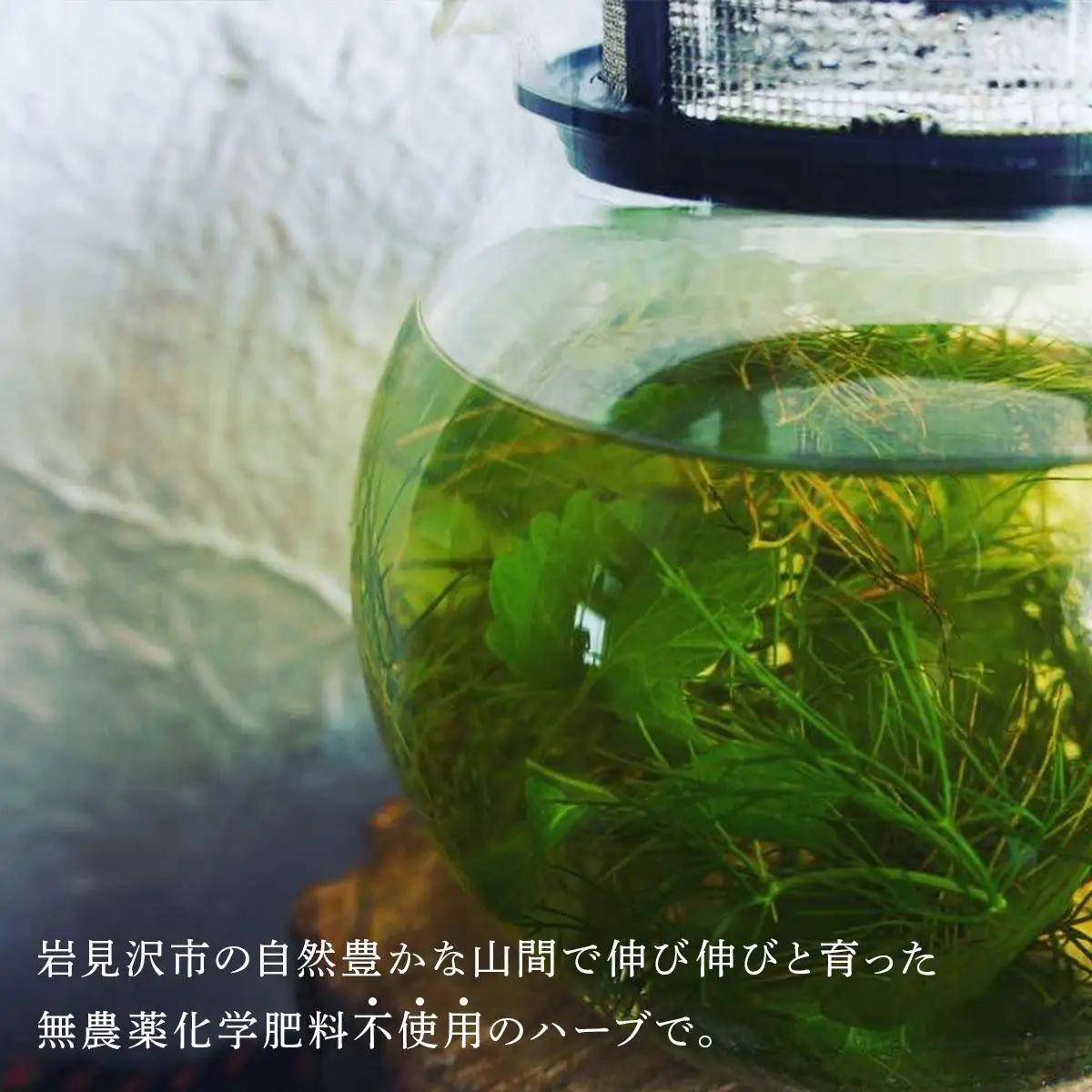 【定期便】森のハーブティーセット(3点合計39g)  ≪2ヶ月に1回 計3回のお届け≫【無農薬・化学肥料不使用】【51102】