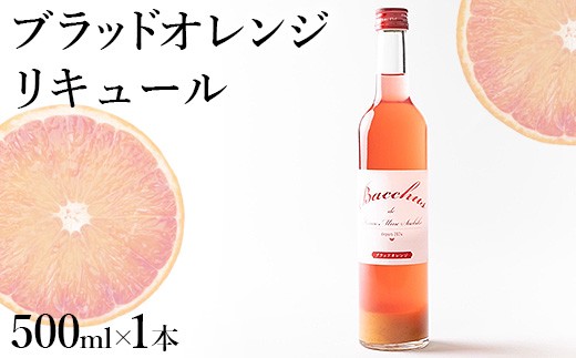 
                  ブラッドオレンジ リキュール ※2027年4月下旬頃より順次発送予定 ※北海道・沖縄・離島への配送不可 500ml 果実酒 柑橘 飲料 お酒 アルコール ロック 水割 ソーダ割 家飲み オレンジ 果汁 フルーツ 果物 ギフト 贈答用 国産 愛知県 美浜町 澤田酒造 純米酒
                