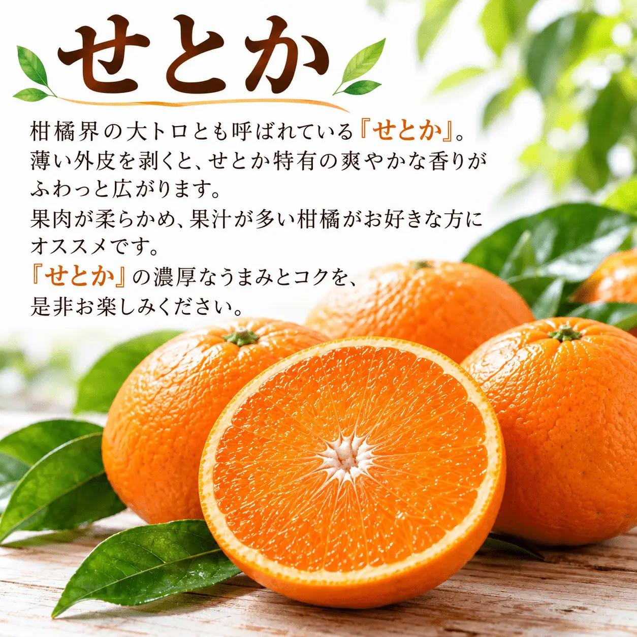 【先行予約】旬の柑橘定期便3回 訳ありえひめみかん（温州みかん）5kg 訳ありせとか 3kg 贈答用河内晩柑 5kg   吉田農園  サイズミックス  人気 ブランド プレミアム 柑橘 果物 フルーツ