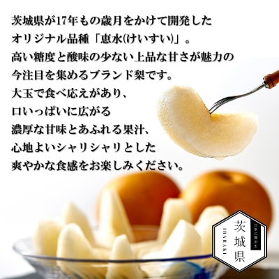 【先行受付・数量限定】皆藤梨園 恵水　5kg(12～8玉)  　2026年8月下旬順次発送【配送不可地域：離島・沖縄県】