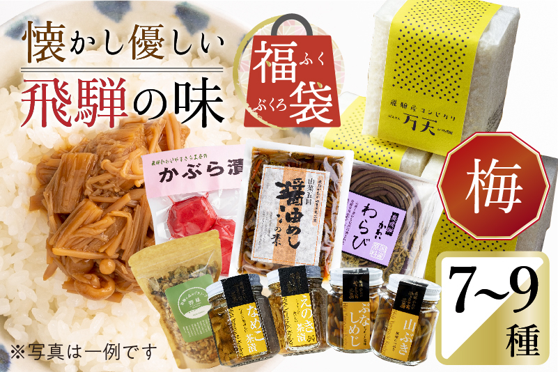 
                  ＜8月から寄附額改定＞懐かし優しい飛騨の味 福袋【梅】7～9種類 詰め合わせ セット 米 山菜 缶詰 お惣菜 ご飯のお供 熨斗対応 熨斗掛け 内祝い 贈答用 ギフト
                