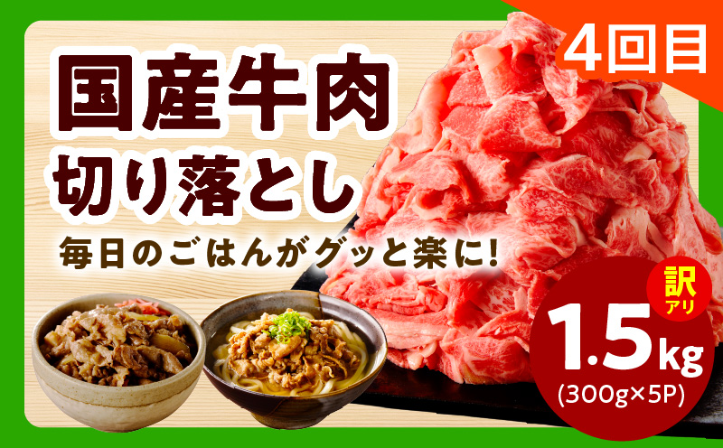 【定期便】家計応援 定期便4万円コース【小分け 家計応援 鶏肉 豚肉 牛肉 カット済み 切り落とし 簡単調理】 mrzZ107