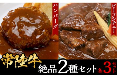 【常陸牛】絶品2種セット（ハンバーグ・ビーフシチュー各3セット）【常陸牛 黒毛和牛 和牛 牛肉 ハンバーグ 手ごねハンバーグ ビーフシチュー シチュー ファミリー 家族 茨城 茨城県】