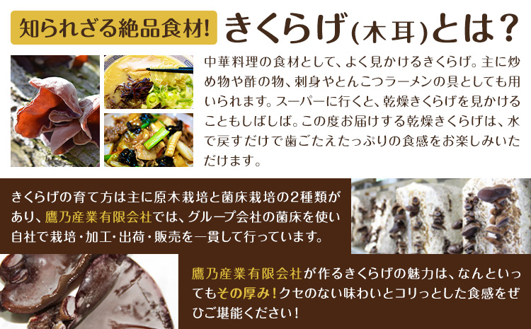 乾燥きくらげ 100g 鷹乃産業有限会社 《30日以内に出荷予定(土日祝除く)》熊本県 球磨郡 山江村 きくらげ きのこ 野菜---sy_takaksk_30d_25_10500_100g---