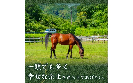 【返礼品なし】 競走馬 支援 5千円 コース 黒潮友馬会応援 5000円 競馬 サラブレッド 引退 高知県 須崎市