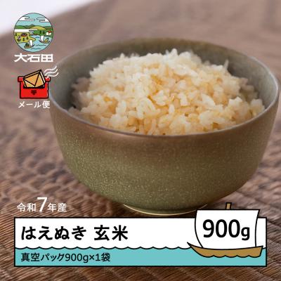 ふるさと納税 大石田町 米 令和7年産 はえぬき 玄米 900g メール便 順次発送 ap-hagxa900
