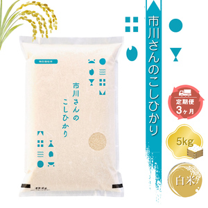 【令和7年産・白米5kg×定期便3カ月】特別栽培米 市川さんのこしひかり（2025年11月出荷開始予定）先行予約 新米こしひかり 信州 こしひかり コシヒカリ 長野県 佐久市