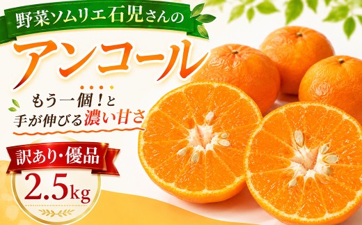 【2027年先行予約】【訳あり・優品】野菜ソムリエ石児さんの「アンコール 2.5kg」 ／ アンコール あんこーる アンコールオレンジ ミカン みかん 蜜柑 柑橘 甘い 2.5kg 柑橘類 2.5キロ 訳あり ワケアリ フルーツ 先行予約 3月 4月 3月発送 4月発送 ＜103-018＞