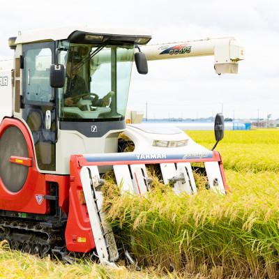 ふるさと納税 稲敷市 【毎月定期便】ミルキークイーン 精米 10kg(5kg×2袋)全3回 |  | 03