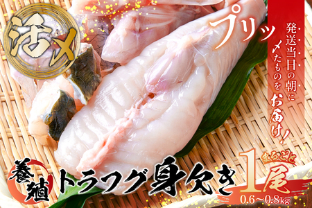 養殖トラフグ身欠き【kt058-001】