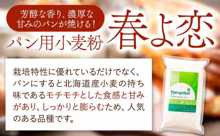 北海道十勝前田農産パン用小麦粉「春よ恋」1kg×10袋 計10袋 有限会社 十勝太陽ファーム 送料無料 北海道 本別町《60日以内に出荷予定(土日祝除く)》北海道 本別町 パン 小麦粉 小麦 10kg