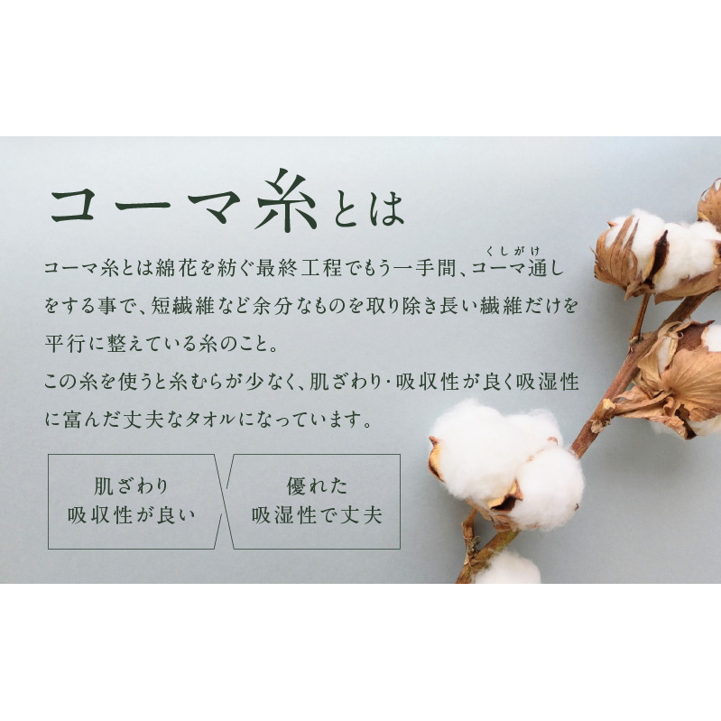 コーマカラーフェイスタオル 2枚（スノーホワイト) 【泉州タオル 国産 吸水 薄手 普段使い 無地 シンプル 日用品】 005A622_イメージ3