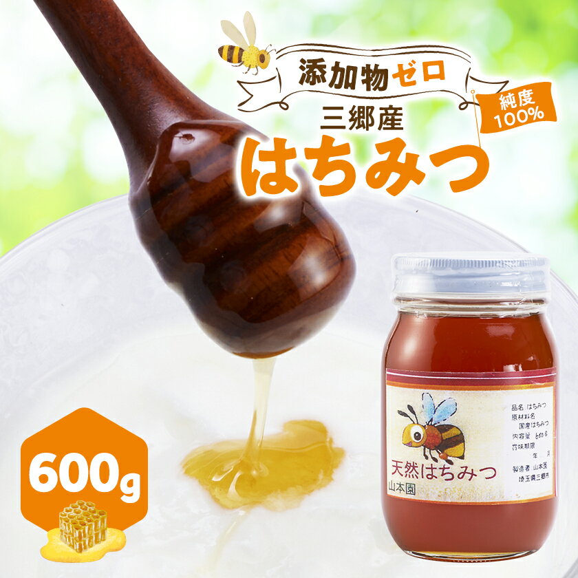 【ふるさと納税】三郷産はちみつ【1404458】