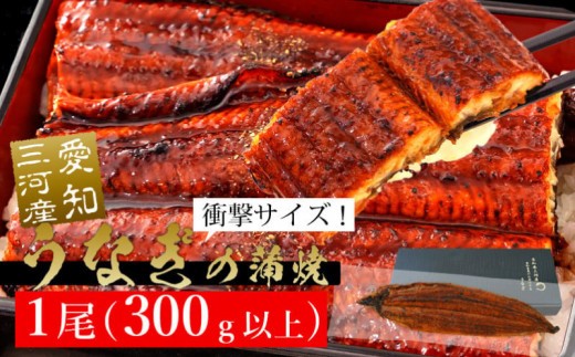 
【土用の丑の日までにお届け】規格外サイズ！とても大きな三河産うなぎ「蒲焼き冷凍×1尾（300g以上）」蒲焼 ウナギ 国産うなぎ 鰻 蒲焼 愛知県 西尾市 愛知養魚 本格うなぎ 丑の日 土用の丑の日・A135-14
