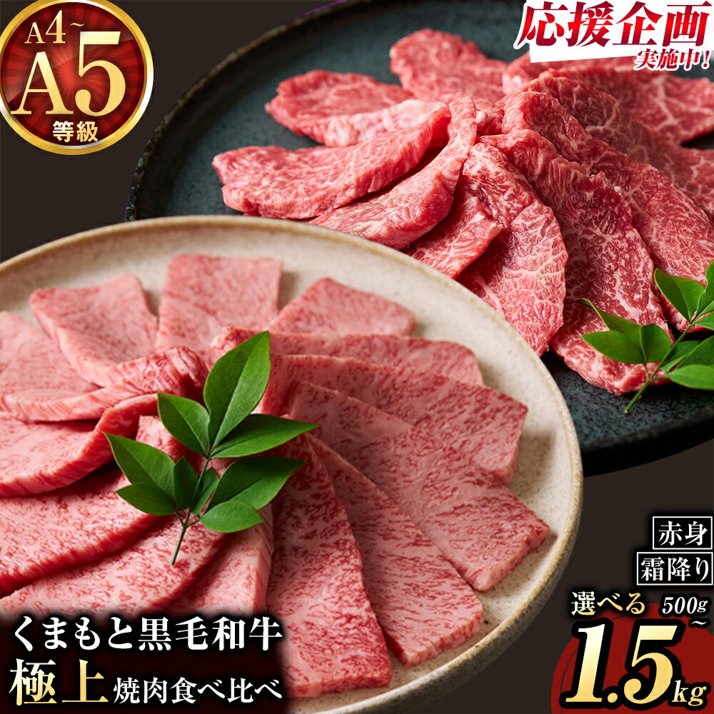 【ふるさと納税】黒毛和牛 A4〜A5等級 霜降り カルビ 焼肉 食べ比べ A4 A5 500g ~ 1500g 数量限定 先行予約 牛肉 冷凍 くまもと黒毛和牛 冷凍庫 個別 取分け 小分け 個包装 ブランド牛 《30日以内に出荷予定(土日祝除く)》 熊本県 山江村 ギフト 贈答 人気
