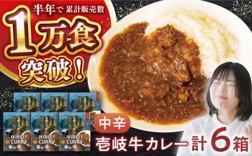 壱岐牛カレー中辛づくし《壱岐市》【壱岐フードファクトリー】常温配送 カレー ご当地カレー レトルト 簡単調理 [JDW041]