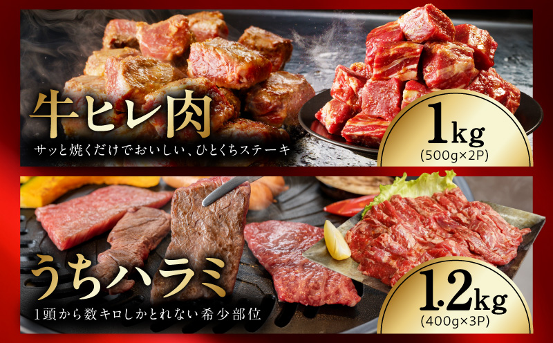 【氷温熟成×極味付け/特製ダレ】希少部位セット 合計9.1kg【小分け 希少部位 ヒレ 鶏肉 スペアリブ はらみ ハラミ 牛肉 焼肉 BBQ 簡単調理 味付き】 mrz0505