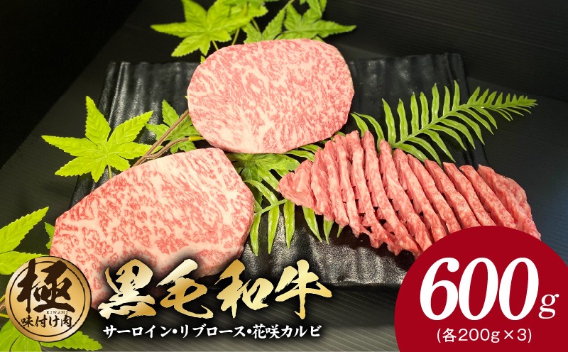 CFX0041 黒毛和牛 サーロイン/リブロース/花咲カルビ ステーキ 食べ比べセット 合計600g（200g×3種）【極味付け肉】