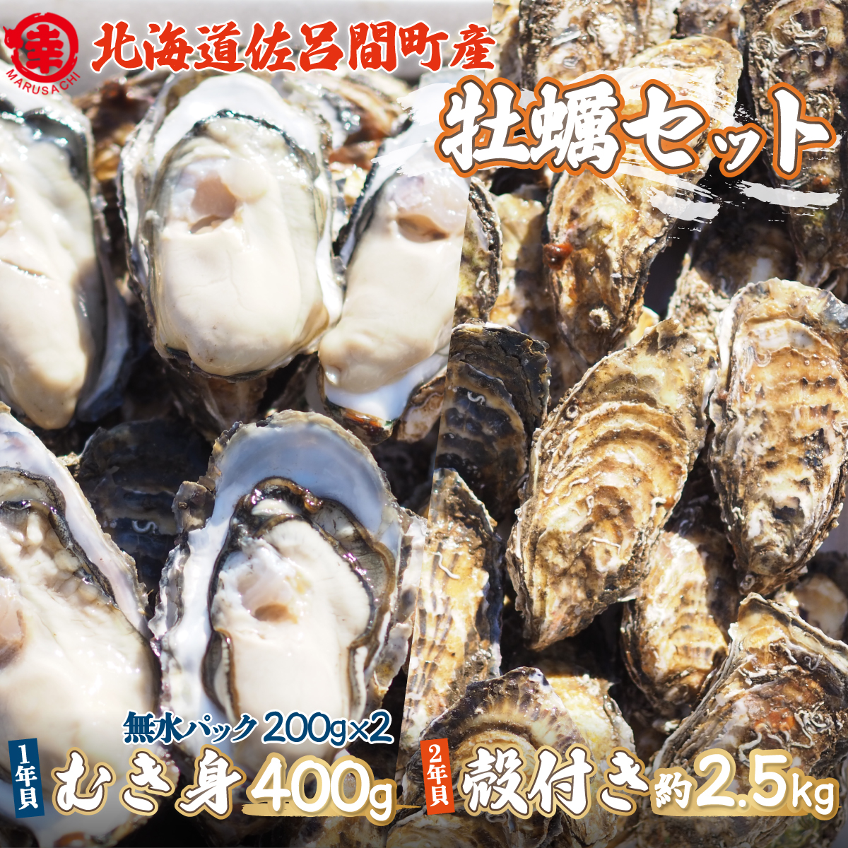 【先行予約】カキ 殻付き2年貝約2.5kg・むき身1年貝400g（200g無水パック×2） セット 佐呂間産（2024年10月中旬より発送） SRMA003