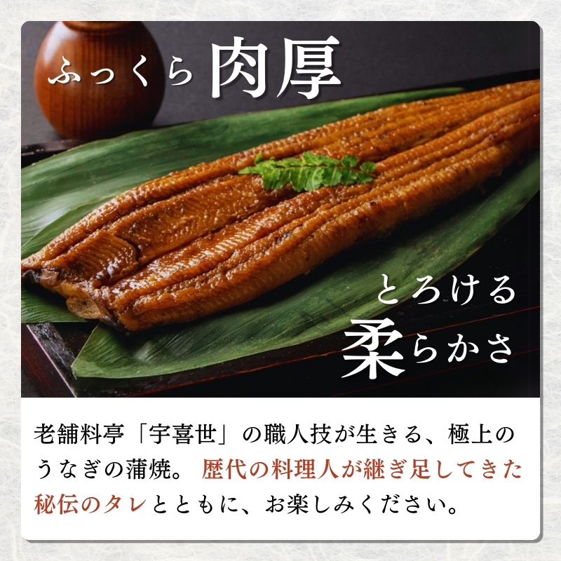うなぎ 【老舗料亭の味】職人が焼いたうなぎ蒲焼き(150g×1尾)百年料亭 宇喜世名物  鰻 蒲焼き かば焼き