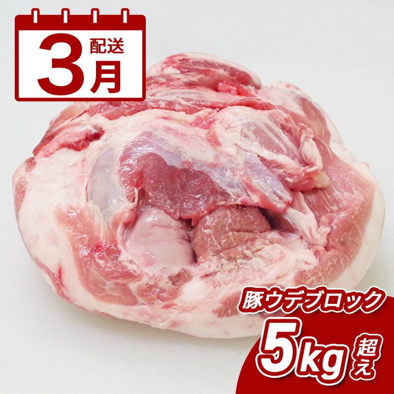【ふるさと納税】3月配送★宮崎県産豚ウデブロック5kg超！ - 国産豚肉 ウデ肉 かたまり肉 5キロ 冷凍 大容量 ブロック肉 塊肉 大きい お好みにカットできる 届いたらご自宅でカット 3月発送 3月お届け 送料無料 【宮崎県木城町】