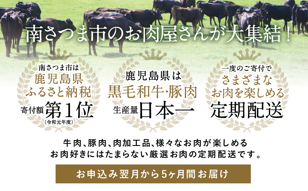 【お試し版】オールスター厳選お肉定期便（全5回） 牛肉 豚肉 鹿児島県産 国産 赤身 定期便 黒豚 黒毛和牛 しゃぶしゃぶ ステーキ すき焼き ハム ソーセージ お肉 冷凍 コワダヤ スターゼン 山野井 JA食肉かごしま カミチク 鹿児島県 南さつま市